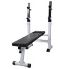 Banca Exercitii Fitness Reglabila vidaXL, Greutati, Otel, 120x50x91-111cm, Max 100kg