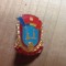 Insigne (3) Industrie Ploiesti