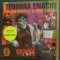 CD ORIGINAL SIGILAT / VOCAL JAZZ: TEODORA ENACHE WITH ION BACIU jr. &amp; RICK CONDIT (2004) [+ VLAICU GOLCEA &amp; PIERRE SODDERBERG]