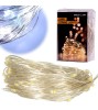 Ghirlanda luminoasa decorativa pe sarma, 10m cu 100 LEDuri, alb rece, cu Baterii