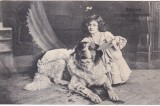 Ilustrata Fetita Caine Saint Bernard Tonuri Gri Dimensiune 14x9cm Stare Buna