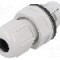 Presetupa poliamida, {{Filet intrare cablu}}, IP68, SKINTOP&reg; CLICK, LAPP - 53112692