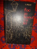 Foc in hanul cu tei - Isac Peltz // dedicatie , semnatura - autograf (tovarasului Mihai Gafita ) // ilustratii Tia Peltz ( fiica autorului )