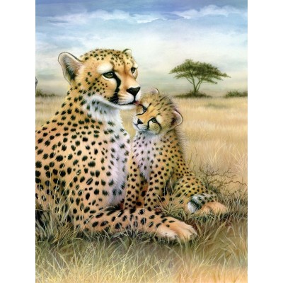 Prima mea pictura pe numere junior mica - Ghepard foto