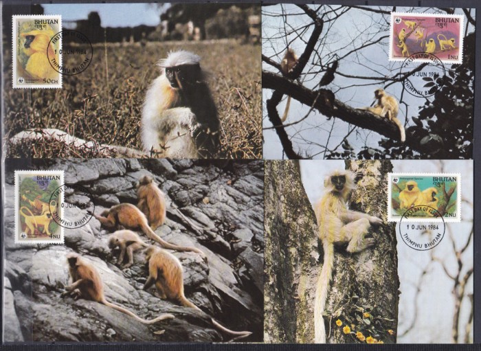 DB1 Fauna Bhutan WWF Langur Auriu 4 x Maxicard MNH
