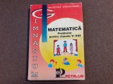 Matematica Probleme pentru clasele V-VIII Petrica Ion, Cornel Stefan