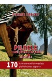 Pildele unui preot de tara Vol.3: 170 de istorioare de meditat si de dat mai departe - Pierre Trevet