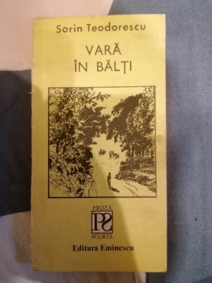 Sorin Teodorescu - Vara in balti foto