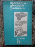 Alexandru Gheorghe Paduraru - Graba de a fi