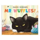Carte pentru copii Picture Book Mr Wuffles! - Wiesner