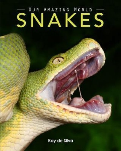 Snakes: Amazing Pictures &amp; Fun Facts on Animals in Nature