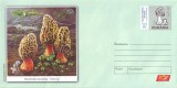 Romania 2008 Ciuperci, intreg postal