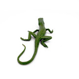 Iguana mica figurina 21 cm, Jad