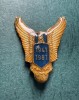 Insigna aniversara aviatie militara Romania 1941 - 1981 RSR 40 ani