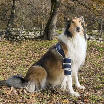 Balto - Atelă pentru cot XL foto