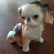 XZ Catel din portelan - Cavalier King