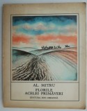 Florile acelei primaveri - Alexandru Mitru - Carte de Povesti pentru Copii