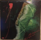 VINIL # LP Gregg Diamond, Bionic Boogie &lrm;&ndash; Tiger Tiger (VG++)