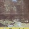 REVISTA ROMANIA APICOLA. NR.8, AUGUST 1997-COLECTIV-236651
