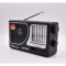 Radio Leotec LT-1611 cu 11 benzi radio