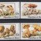 Guinea - CIUPERCI - MNH