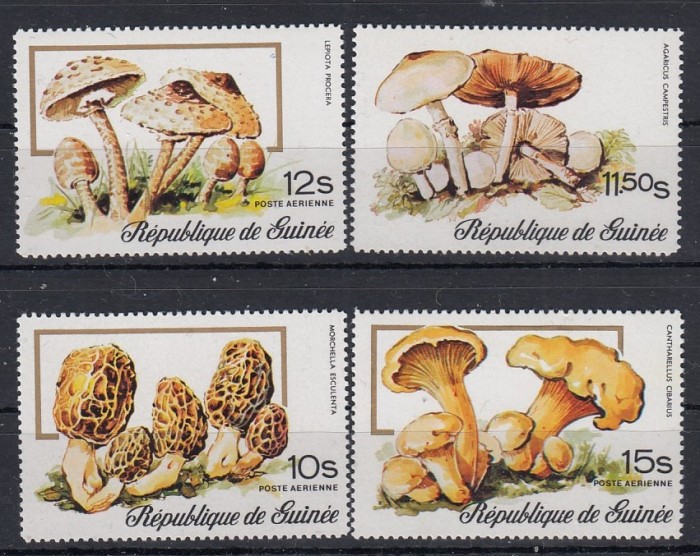 Guinea - CIUPERCI - MNH