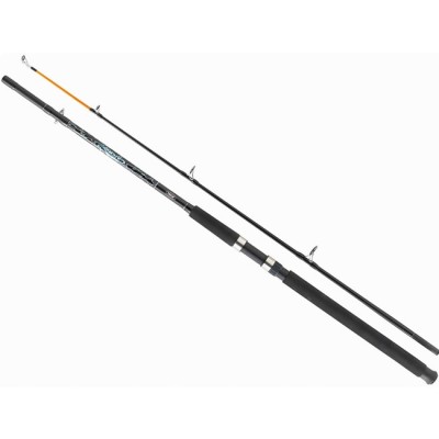 Lanseta Mitchell Catch Boat 2.10m 100-200g 2buc foto