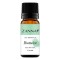 ZANNA ULEI ESENTIAL DE BUSUIOC 10ML