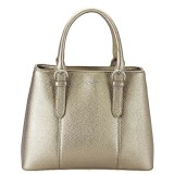 Cumpara ieftin Geanta aurie FloraCO Paris H6999 14