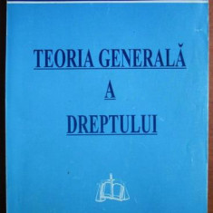 Nicolae Popa - Teoria generala a dreptului