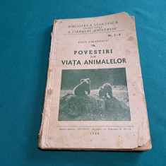 POVESTIRI DIN VIAȚA ANIMALELOR / RAUL CĂLINESCU /1940 *