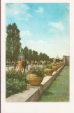 RF150 - Carte Postala - Bucuresti, Herastrau, circulata 1962