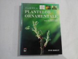 TAIEREA PLANTELOR ORNAMENTALE - Steve BRADLEY