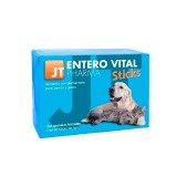 Cumpara ieftin JT-Enterovital, 60 Sticks