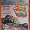 myh 33s - Paul Kanut Schafer - Expeditie pe vasul Beagle - ed 1971