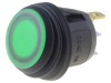 Rocker Switch SPST 2 ON-OFF 10A/28VDC Verde IP65 cu LED R13-112-DC