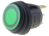Rocker Switch SPST 2 ON-OFF 10A/28VDC Verde IP65 cu LED R13-112-DC