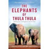 The Elephants of Thula Thula Reserve