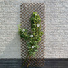Nature Spalier de gradina, 60x180 cm, maro, salcie naturala GartenMobel Dekor, vidaXL