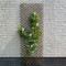 Nature Spalier de gradina, 60x180 cm, maro, salcie naturala GartenMobel Dekor