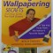 PAINTING AMD WALLPAPERING SECRETS from BRIAN SANTOS THE WALL WIZARD , 2010