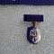 insigna Campionul Clubului Hermes Arad