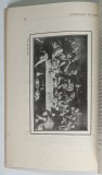 TEHNOLOGIA PICTURII - PLANSE SI TABLOURI EXPLICATIVE de C. IONESCU - PASCANU , CU O PREFATA de G.G. LONGINESCU , 1930