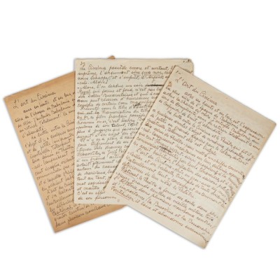 Hortensia Papadat-Bengescu, &amp;bdquo;L&amp;rsquo;art du Cinema&amp;rdquo;, două manuscrise foto