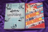 Cumpara ieftin Sfaturi pentru gospodine &ndash; Madalina Brebu