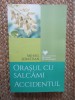 MIHAIL SEBASTIAN - ORASUL CU SALCAMI * ACCIDENTUL