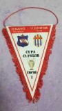 Fanion Dinamo