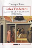 Gheorghe Tudor - Calea vindecarii. Elemente de psihoterapie ortodoxa