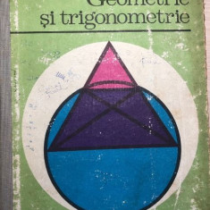 Geometrie si trigonometrie manual anul I liceu