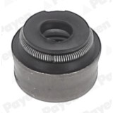 PAYEN PA5025 Etansare, supape